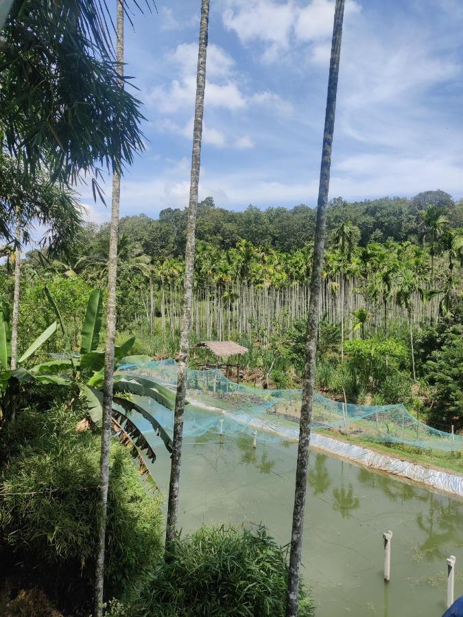 Exoticaholidays Sultan Bathery Luaran gambar